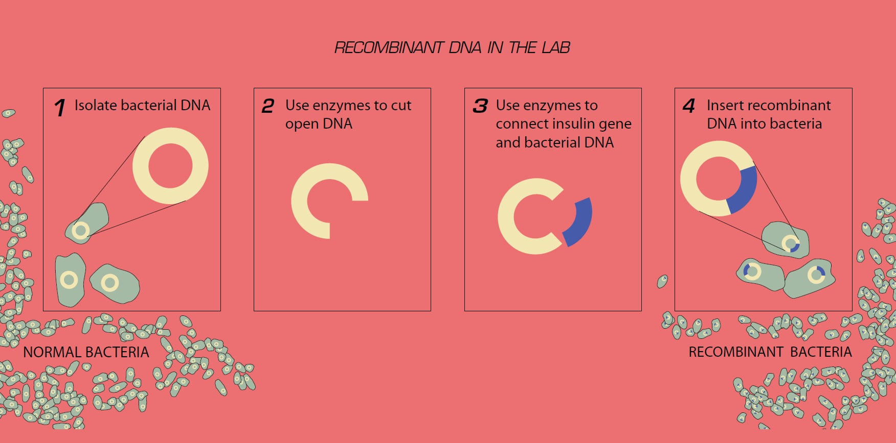 DNA and the Birth of Biotech National Museum of American