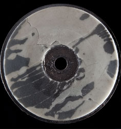 Disc sound recording, 1885 (Gift of Alexander Graham Bell)