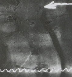 Tracing created by Bell’s ear phonautograph (Courtesy of Library of Congress)